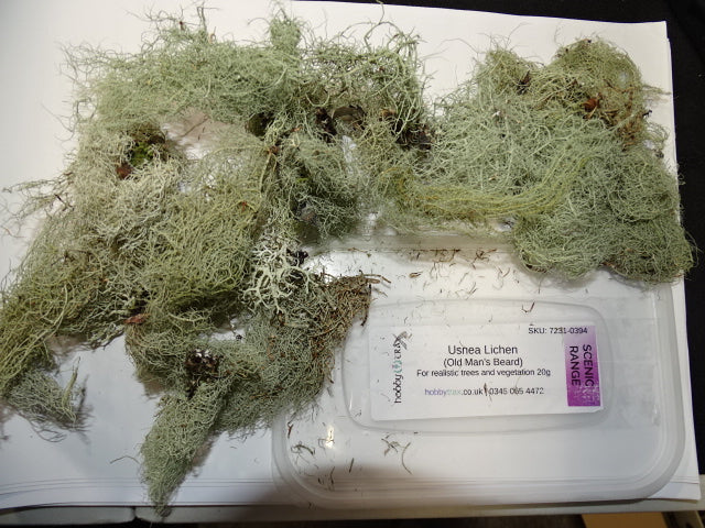 Lichen - Old Man's Beard - Natural 20g