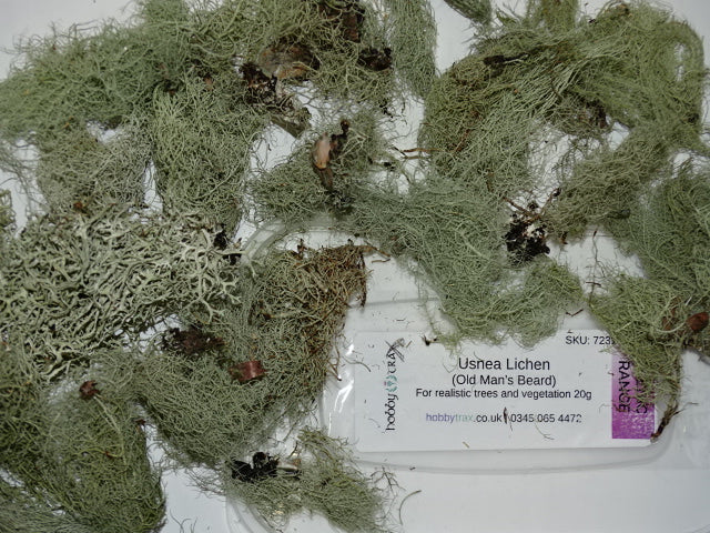 Lichen - Old Man's Beard - Natural 20g