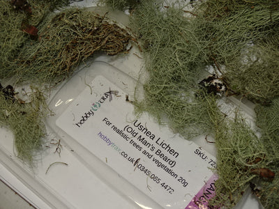 Lichen - Old Man's Beard - Natural 20g